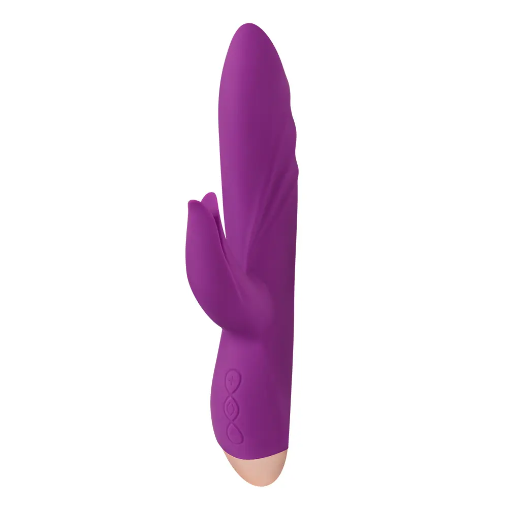 Görsel 2