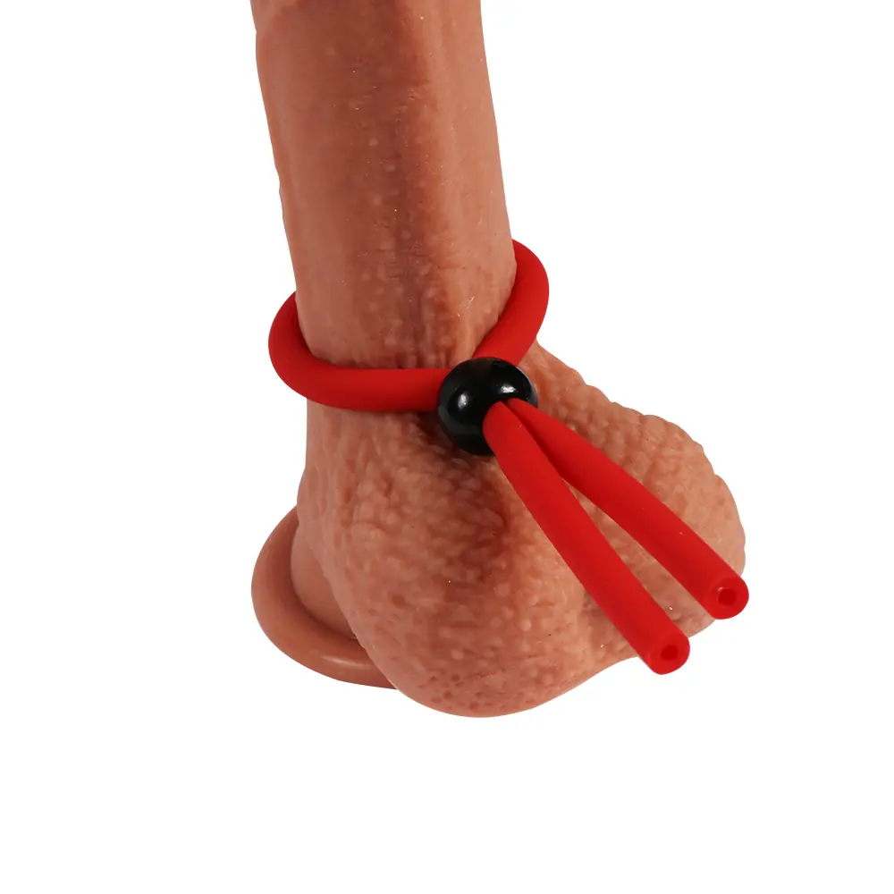 Görsel 2