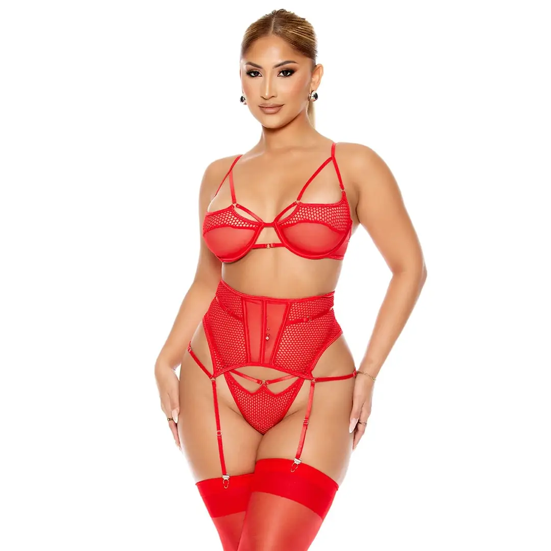 Vişne Fantasy Wear Fantezi File Tül Kadın Jartiyer Takım