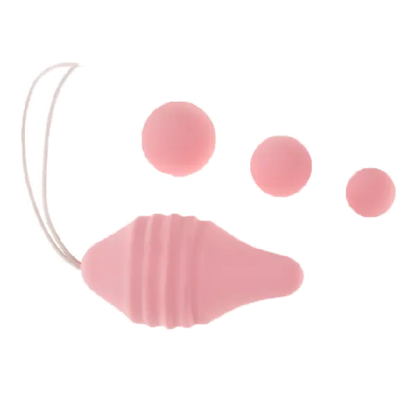 Görsel 2