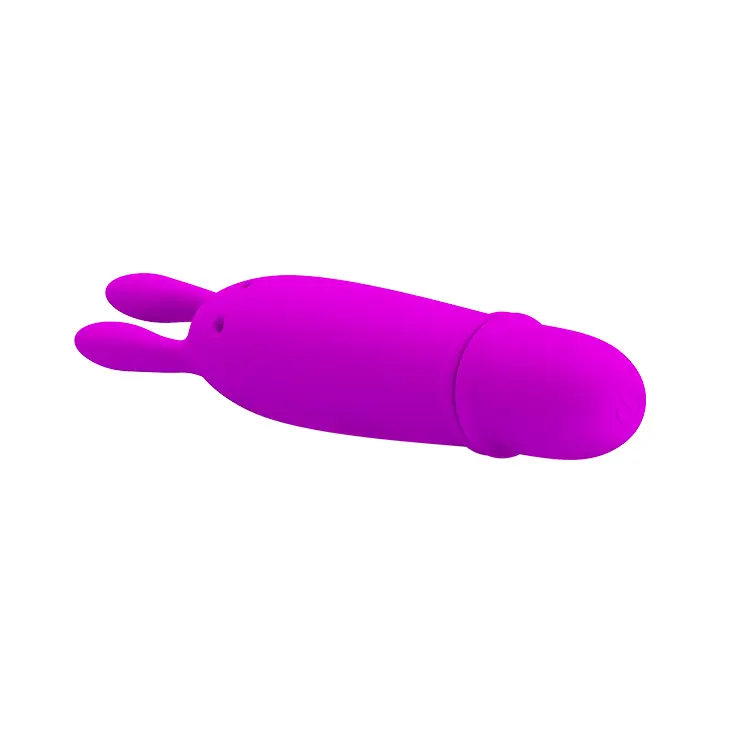Görsel 2