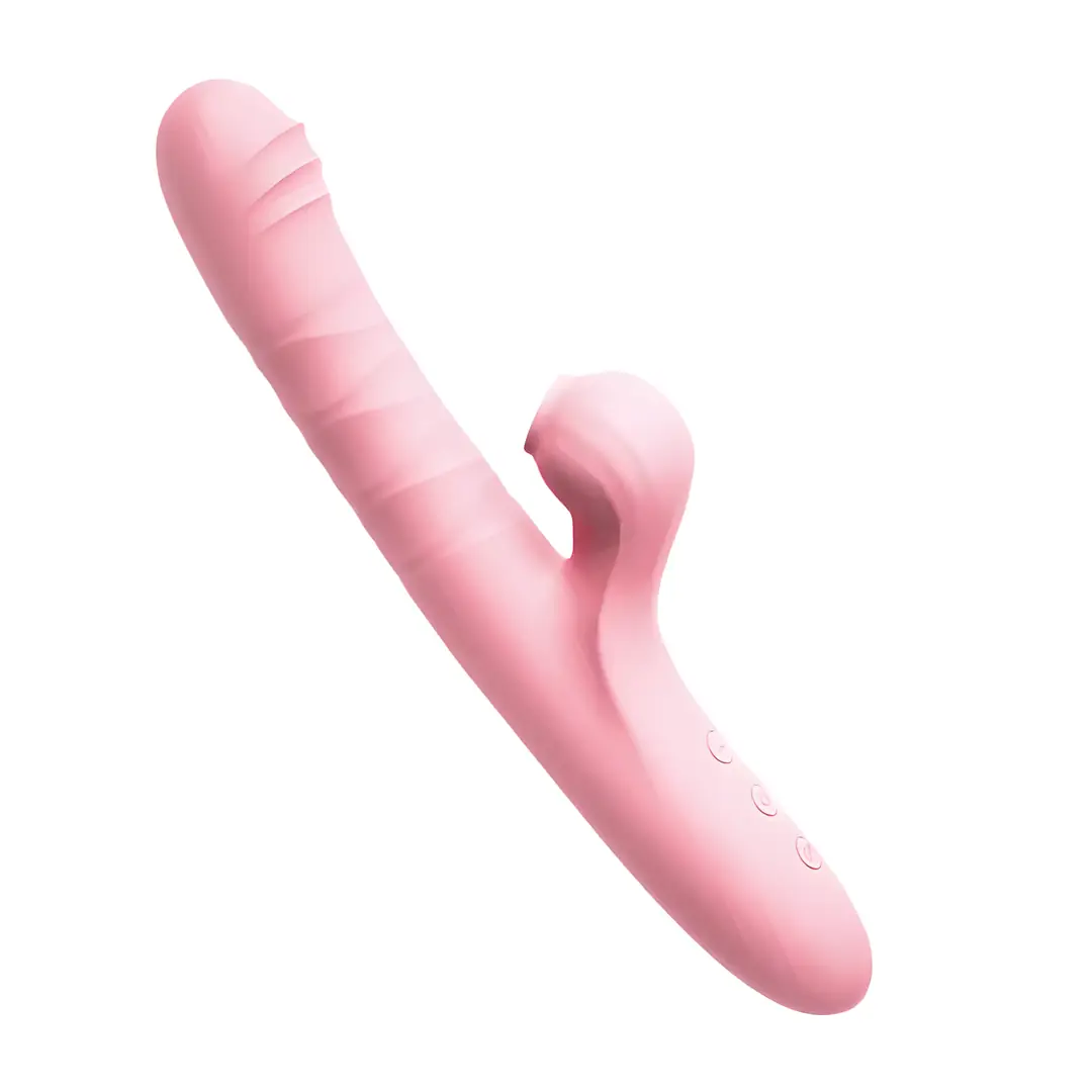 Görsel 2
