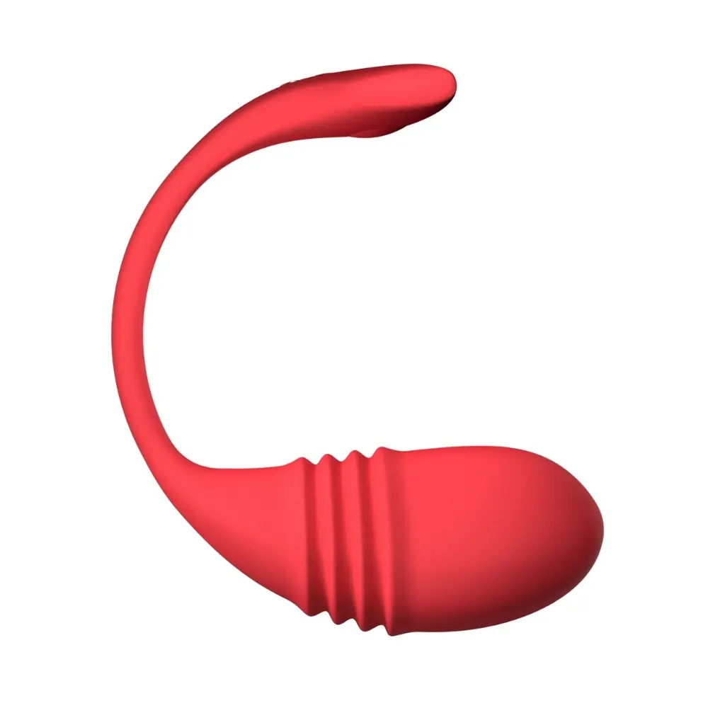 Görsel 2