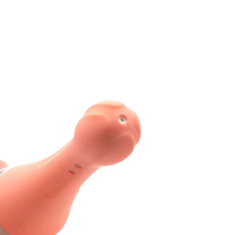 Görsel 2